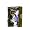 Lolita Lempicka by Lolita Lempicka for Men .04 oz Vial (sample)