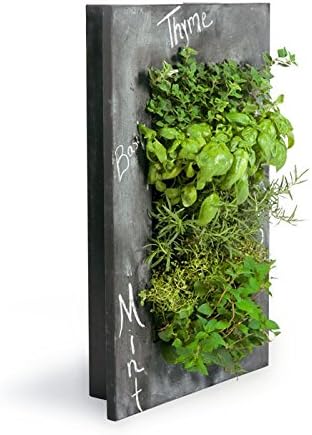 GroVert Living Chalkboard Wall Planter with Frame Kit