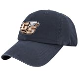 Twins '47 Georgia Southern Eagles Navy Blue Franchise Fitted Hat