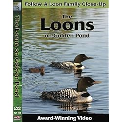 The Loons on Golden Pond