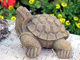 Eigenschaften Tiefes Kunsthandwerk GbR  / Tierfigur Steinfigur Schildkröte Mini hellbraun