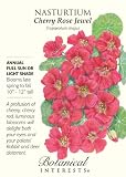 Heirloom Nasturtium Cherry Rose Jewel Seeds 25 Seeds 51n0DCzF66L. SL160 Heirloom Nasturtium Cherry Rose Jewel Seeds 25 Seeds