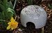 Glazed Ceramic Dragonfly Toad House
