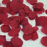 Burgundy Silk Rose Petals - Christmas, Wedding Flowers, Confetti