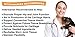 Osteo Pet Glucosamine for Dogs with EFAs and MSM, 60 Chewable Treats