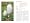 Mushrooms: River Cottage Handbook No.1
