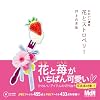 かわいい素材 花とストロベリー
