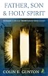 Father, Son and Spirit: Toward a Fully Trinitarian Theology
