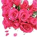 ローズ色のピンクグラデーションのバラの花束　５０本！【生花】