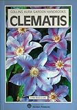 Clematis