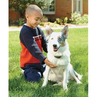 Picture for Wireless Fence