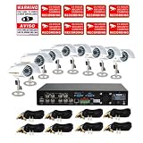 VideoSecu 8 CH Security Recording DVR System with 8 Indoor/Outdoor Night Vision Color Video Infrared Bullet Security Cameras Power Supply Video Cable and Free Warning Sticker W64