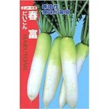 �t�x (�i���g��z) ����:3ml