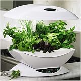 AeroGarden Classic with Gourmet Herb Seed Kit, White