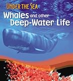 Sperm Whales and Other Deep-Water Life (Qeb Under the Sea)