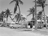 Trailer Camp in Palm Grove Photographic Poster Print by H. Armstrong Roberts, 12x16