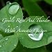 Spa Music - Gentle Rain With Acoustic Guitar