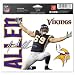 Jared Allen - Minnesota Vikings 5x6 Cling Decal