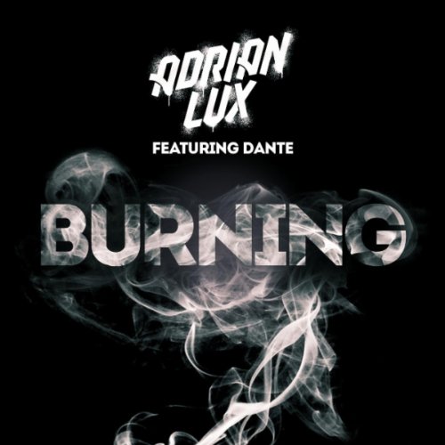 Adrian Lux-Burning-PROMO-CDR-FLAC-2012-WRE Download