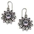 Amethyst Earrings Sterling Silver Jewelry 1.5 inches (erg109)