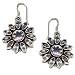 Amethyst Earrings Sterling Silver Jewelry 1.5 inches (erg109)