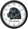 Newfoundland Dog Wall Clock by WatchBuddy Timepieces (Hunter Green Frame)