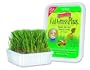 Cat-A'bout Multi-Cat CatGrass Plus Tub 150 grams by MiracleCorp/Gimborn