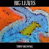 TRWMGWSG
