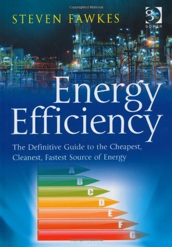 Energy Efficiency: The Definitive Guide to the Cheapest, Cleanest, Fastest Source of Energy by Steven Fawkes (2013-10-28)