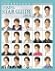 YOUNG STAR GUIDE 2008 (タカラヅカMOOK)