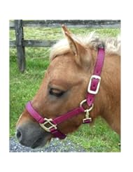 Intrepid International Nylon Miniature Horse Halter, Burgundy, Large