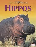 Hippos (Nature Watch)