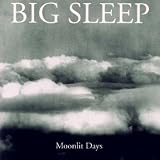 Moonlit Days