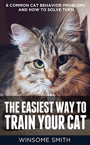 The Easiest Way to Train Your Cat: 6 Common Cat Behavior Problems and How to Solve Them