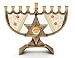Lace Star Menorah - by Lily Art ( 8.5x6" )
