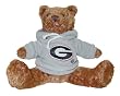 Georgia Hoodie Bears