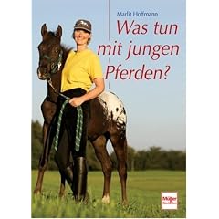 Was tun mit jungen Pferden?