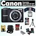 Canon Powershot A810 16MP 5X 720P Digital Camera Black + 8 GB Memory Card + MMC & SD Card Reader USB + 4 Rechargeable Batteries with Charger + Multi Storage Tube Case + Allegro Denali Camera Case + Accessory Kit