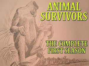 Animal Survivors, Season 1, Episode 4