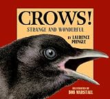 Crows! Strange and Wonderful