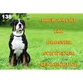 Metall - Warnschild Gro�er Schweizer Sennenhund