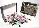 Photo Jigsaw Puzzle of Norweigan Forest Cat - three in metal planter with flowers from Ardea Wildlife Pets