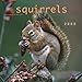 Squirrels 2009 Calendar