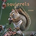 Squirrels 2009 Square Wall Calendar