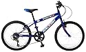 Raleigh 20" Boys Bike Streetwolf