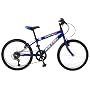 Raleigh 20" Boys Bike Streetwolf