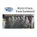 Pet Supplies : Misty Mate Misting Cooling System 6 Nozzle