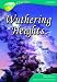 Book Oxford Reading Tree: Stage 16A: TreeTops Classics: Wuthering Heights (Treetops Fiction)