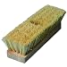 Proline Brushes 3210Tampico Fiber Deck Brush with Wood Handle, 2-7/8" Head Width, 10" Overall Length, Natural