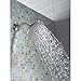 Brizo RP40593PN Delta Tub and Shower Faucets and Accessories, Polished Nickel